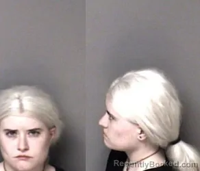 Mugshot of Emily Anne Lee booked in Gaston County, North Carolina on June 20, 2026