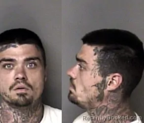 Mugshot of Michael Steven Miller booked in Gaston County, North Carolina on June 20, 2026