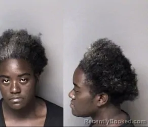 Mugshot of Latricia Denise Williams booked in Gaston County, North Carolina on July 15, 2026