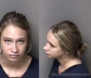 Mugshot of Autumn Brooke Goins booked in Gaston County, North Carolina on August 5, 2026