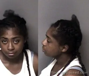 Mugshot of D'zyer Lanieke Brown booked in Gaston County, North Carolina on August 7, 2026