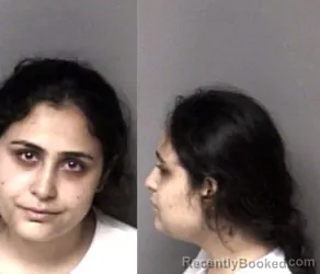 Mugshot of Simona Tanase booked in Gaston County, North Carolina on August 14, 2026