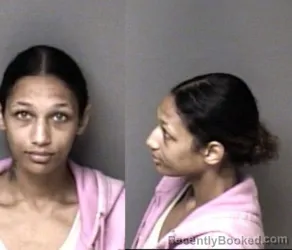 Mugshot of Renee Allissa Blake booked in Gaston County, North Carolina on October 1, 2026