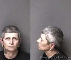Mugshot of Leslie Michelle Gardner booked in Gaston County, North Carolina on October 9, 2026