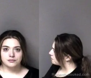Mugshot of Leslie Vanessa Castillano booked in Gaston County, North Carolina on October 10, 2026