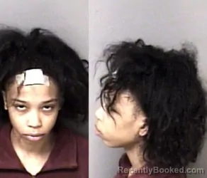 Mugshot of Heavenley Star Deyjanea Murray booked in Gaston County, North Carolina on October 19, 2026