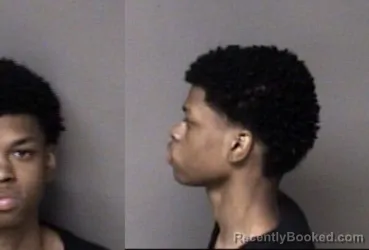 Mugshot of Janarri Deshawn Woody booked in Gaston County, North Carolina on October 19, 2026