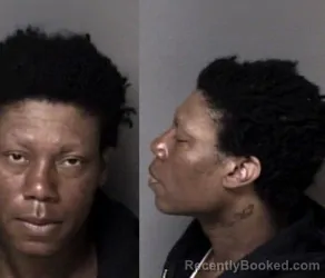 Mugshot of Monterrieo Pierre Robinson booked in Gaston County, North Carolina on March 25, 2026