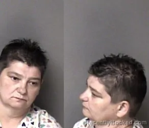 Mugshot of Anita Carol Fernandez booked in Gaston County, North Carolina on June 25, 2026