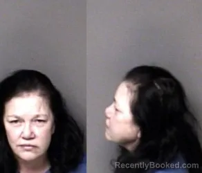 Mugshot of Misty Stokes Cutshaw booked in Gaston County, North Carolina on October 25, 2026