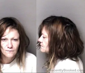 Mugshot of Brenda Lee Crawley booked in Gaston County, North Carolina on October 18, 2026