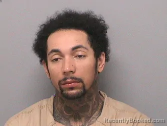 Mugshot of TERRANCE T WATSON booked in Jefferson County, Illinois on June 14, 2026