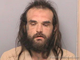 Mugshot of TONNIE L PAULEY