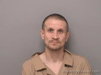 Mugshot of MICHAEL P OLSON