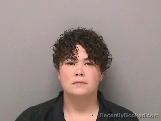 Mugshot of Amber N Reeves booked in Jefferson County, Illinois on September 29, 2026