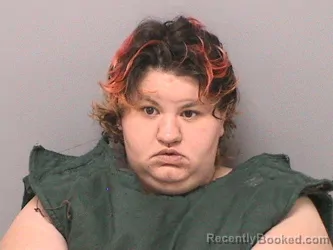 Mugshot of MARY DARLENE VANVICKLE