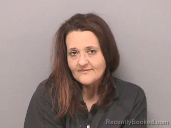 Mugshot of TREENA M STACEY booked in Jefferson County, Illinois on June 24, 2026