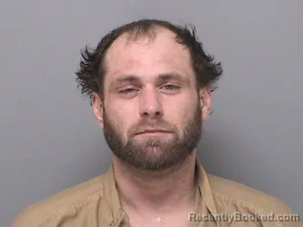 Mugshot of BRANDON S COLLINS