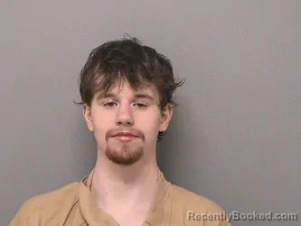 Mugshot of DYLAN M BOWERS
