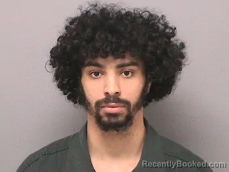 Mugshot of SOLOMON EUGENE JOHNSON