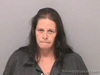 Mugshot of KRISTI N ORTIZ booked in Jefferson County, Illinois on June 15, 2026