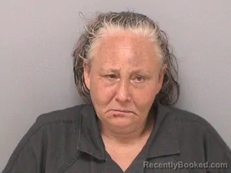 Mugshot of NIKKI D POWELL booked in Jefferson County, Illinois on July 4, 2026