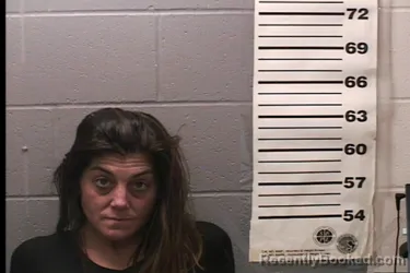 Mugshot of BARBI HUGHES