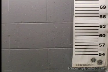 Mugshot of RONALD SMITH booked in Jersey County, Illinois on April 2, 2026