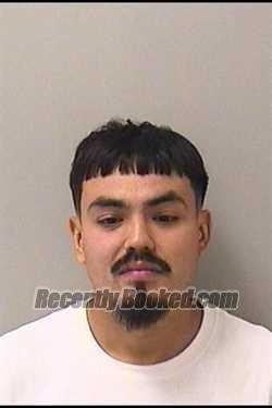 Booking photo from Kane County, Illinois