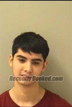 Booking photo from Kane County, Illinois