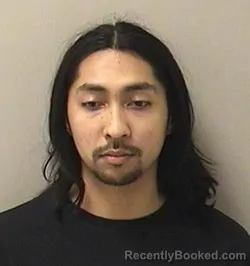 Booking photo from Kane County, Illinois