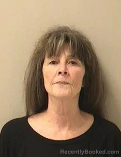 Booking photo from Kane County, Illinois