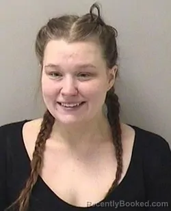 Booking photo from Kane County, Illinois