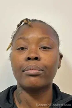 Booking photo from Kane County, Illinois