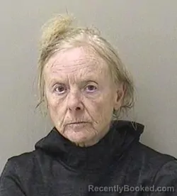 Mugshot of KELLY LYNN SMETHWICK