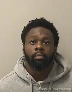 Mugshot of JAMES T WILLIAMS