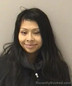 Mugshot of ELIZABETH FERNANDEZ-ROMAN