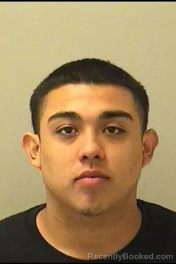 Booking photo from Kane County, Illinois