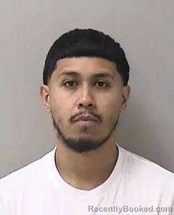 Mugshot of MARCO A NINO