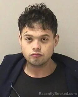 Mugshot of JESUS D RAMOS-PRATZ