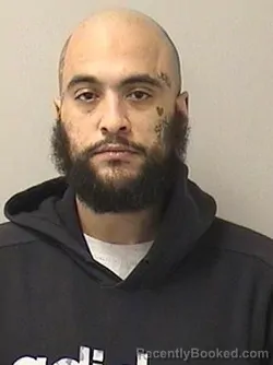 Mugshot of CALVIN A WALLS