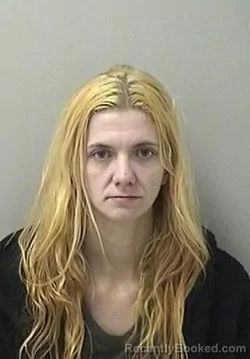 Mugshot of AMANDA L GUNDERSON