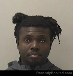 Booking photo from Kane County, Illinois