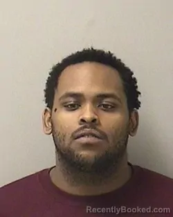 Booking photo from Kane County, Illinois