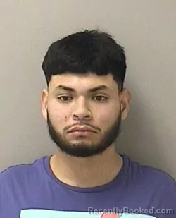 Booking photo from Kane County, Illinois