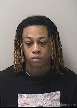 Mugshot of TOTIANNA L GASTON