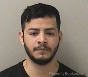 Mugshot of ERIK GONZALEZ