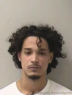 Mugshot of CARLOS DELOS-REYES