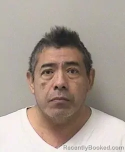 Mugshot of LUIS FERNANDO HERNANDEZ VELIZ
