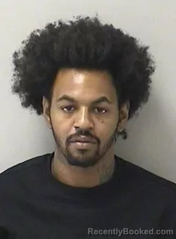 Mugshot of VONTRELL WILLIAMS